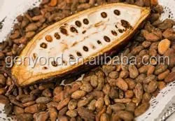 Complete Cocoa Bean Processing/roasting/peeling Plant