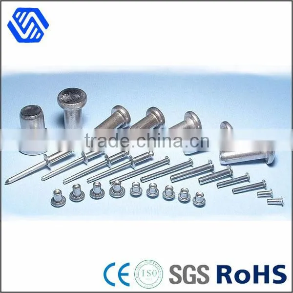 High quality fasterner steel bolt all kinds of plating rivet bolt