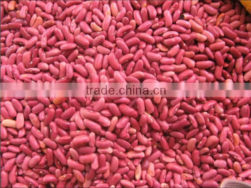 Dried Peas and other beans