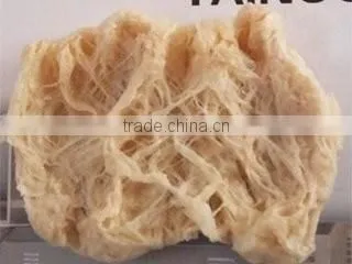 High Quality Texture Soya Protein Production Equipment