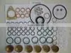 Fuel Injection Pump Repair Kit 800637