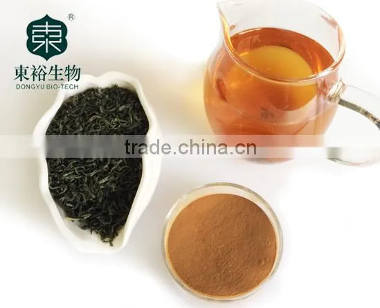 Green Tea Extract polyphenols 95% EGCG 50%