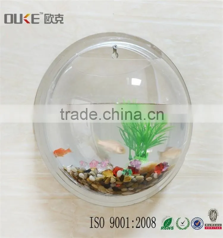 morden design wall mounted high transparent acrylic fish or plant display wholesale