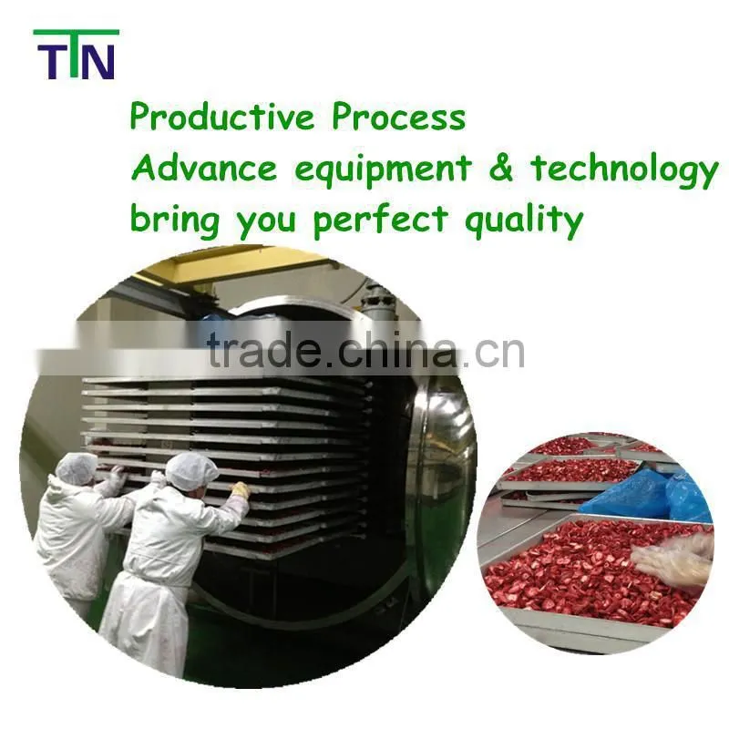 TTN Instant wholesale fruit flavored drink powder Fruit powder