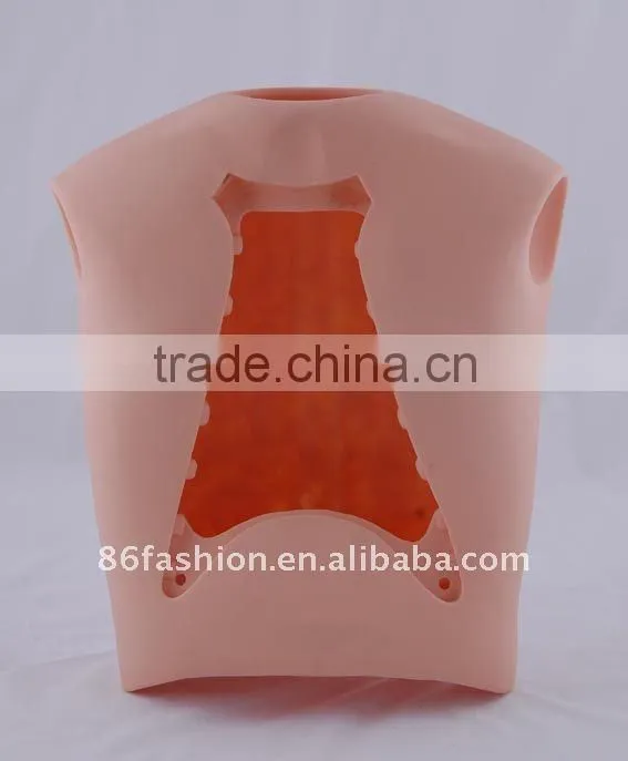 plastic human teeth model medical model