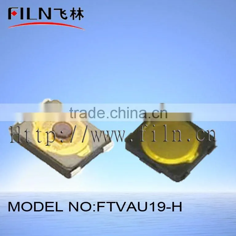FTVAU19-N micro 2 key touch remote switch