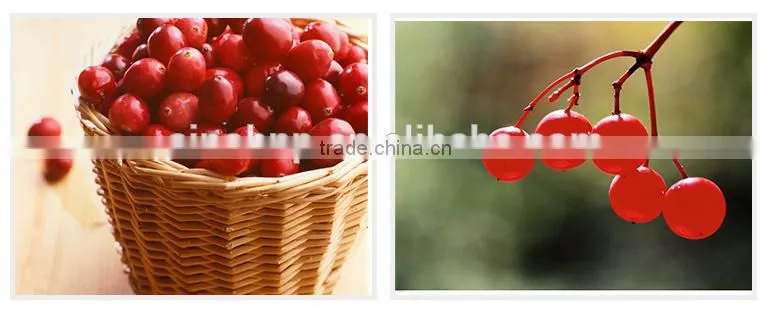 Mytext Cranberry Extract