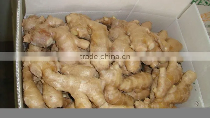 Fresh Ginger
