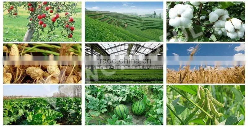 Organic Silicon Surfactant Spreading and Penetrating Agent Agricultural Silicone