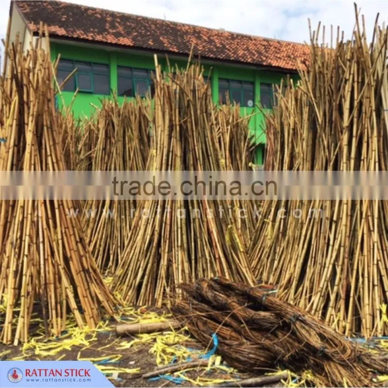 Selling Reed rattan diffuser sticks customized diameter and length reed sticks 9" x 4"