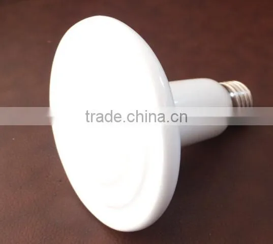 animal UV lamp