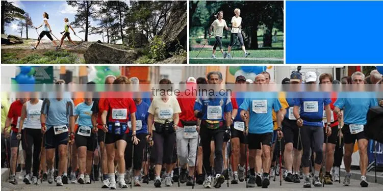 Hot Sale Cheap Trekking Pole
