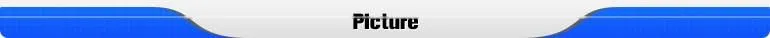 Trade assurance car tire pcr tires auto parts 205/50R17