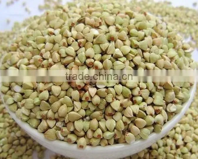Green color sorghum/millet/wheat/paddy thresher