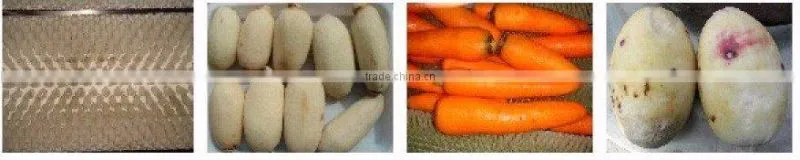 The new design of washing and peeling machine
