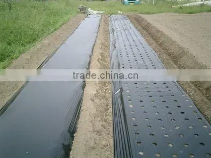 perforated black plastic film