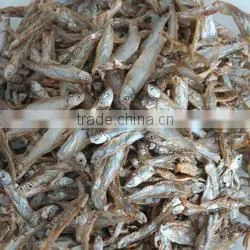 Dried Mealworms,Birds Food & aquarium fish food