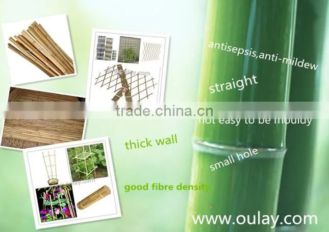raw bamboo gardening sticks poles canes 6~10mm ,60cm~150cm