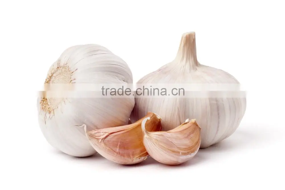 factory price chinese natural red garlic(normal white garlic, purple garlic, white garlic)