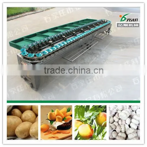 Avocado fruit sorting machine