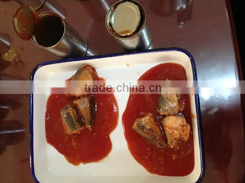 Tin Can Mackerel Fish For Seafood Importer