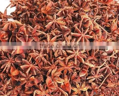 autumn and spring star anise