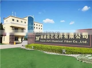 Fujian Jiayi Chemical Fiber Co., Ltd. company overview - view 1