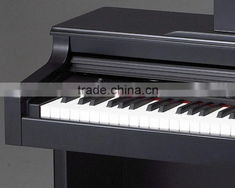 88 keys Hammer action Digital Piano (DK-900)