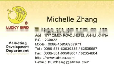 Famous China Tea Long Jing