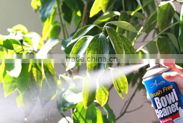 12OZ Aerosol Toilet Bowl Cleaner