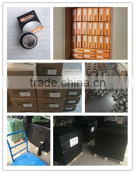 Good performance double row explosion engine eccentric bearing 350752307