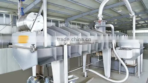 continuous Frying Machine