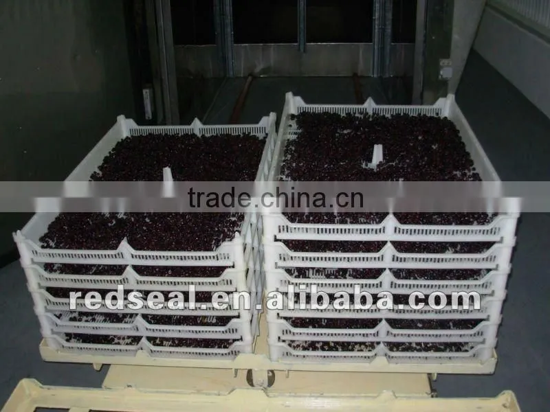 Organic dried blueberry with sugar