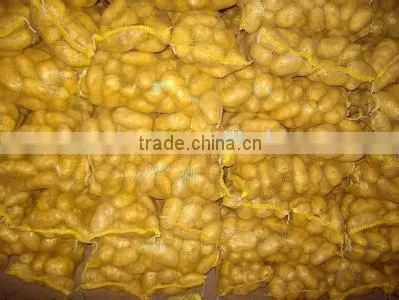 New crop bulk potato with high quality
