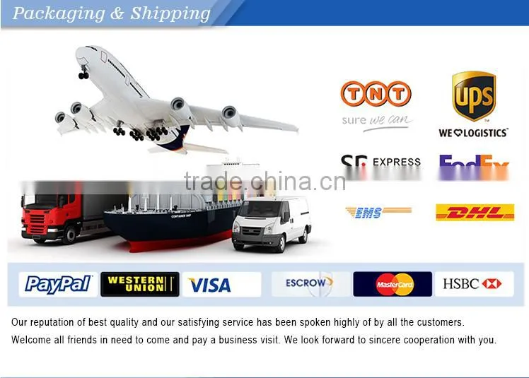 Ali Supplier 160x160 FSTN lcd module small LCD display