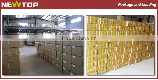 Chainsaw Spare Parts Chain Saw Piston Assy