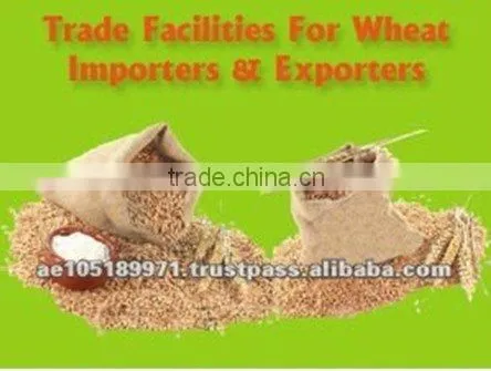 High Quality White Refined Cane Sugar
