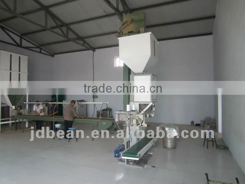 yelllow millet in husk
