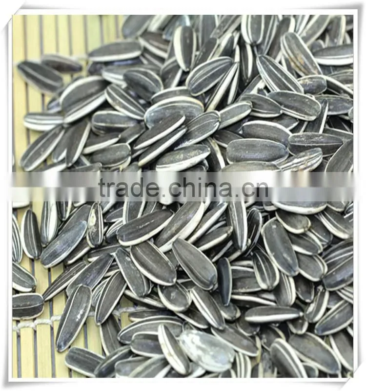 ROASTED AND SALTED SUNFLOWER SEEDS