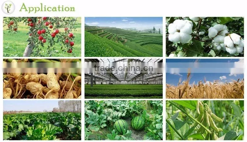 Practical soluble seaweed extract fertilizer, organic seaweed extract flake fertilizer