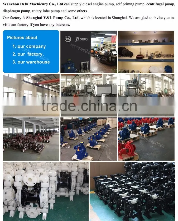 food grade oil pump