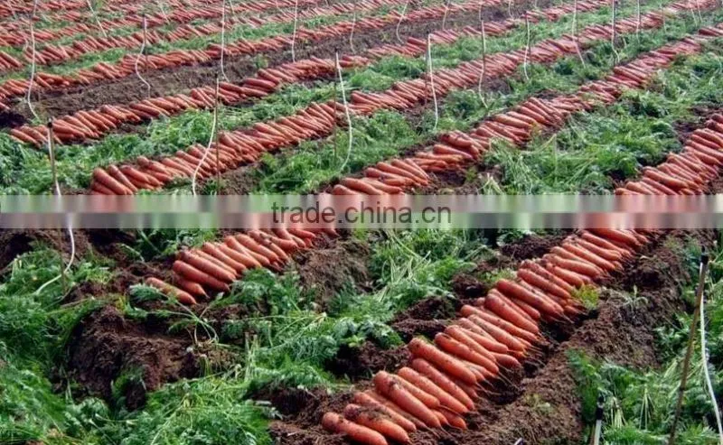 Wholesale small seeds planter manual