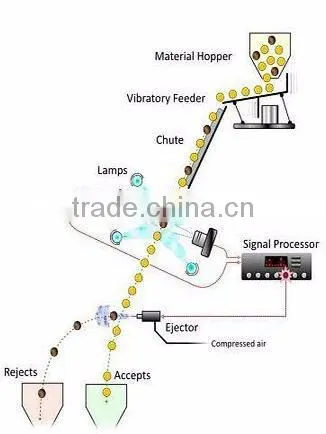 Digital Salt Color Sorter equipments Machinery