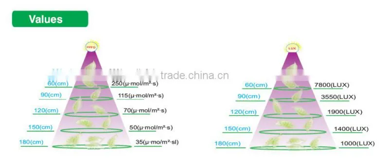 Hot wholesale 600W sunflower type full spectrum led grow light