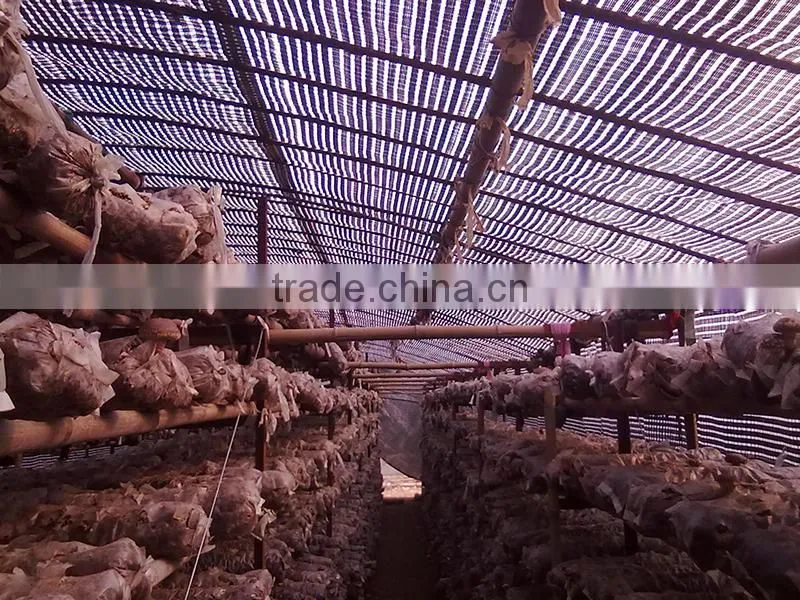 Black and white grid plastic greenhouse film for mushroom / bacteria growing house
