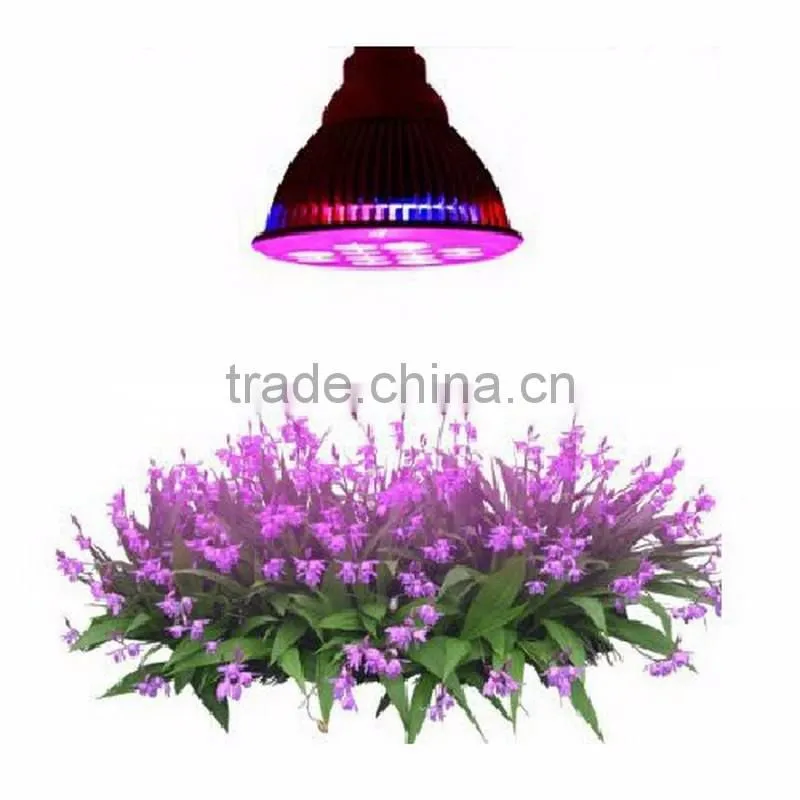 best 12W led grow plant light red blue color mix par light wholesale