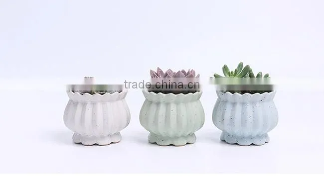 New design succulent plants ceramic indoor planters