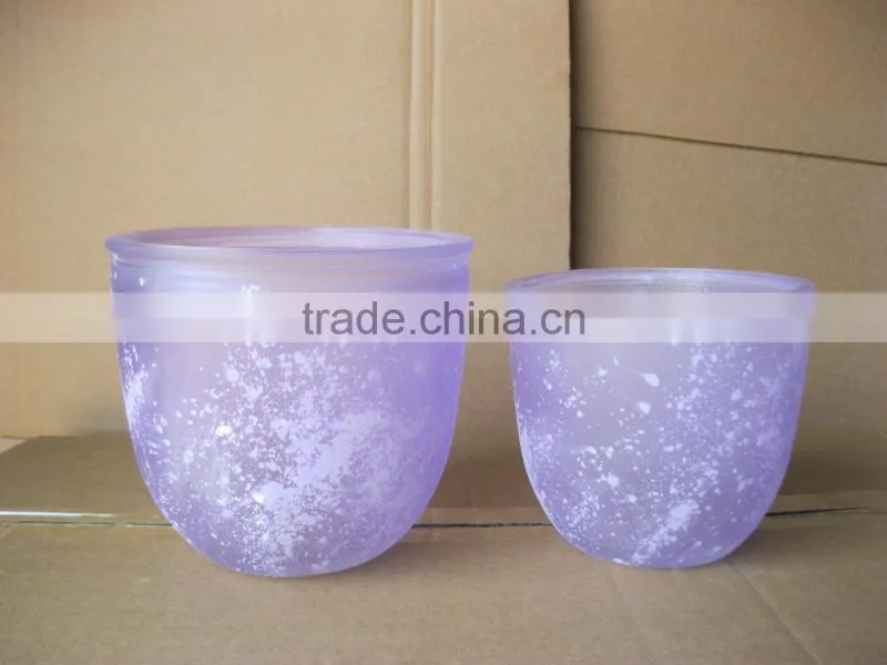 glass flower vaseglass , flower pot