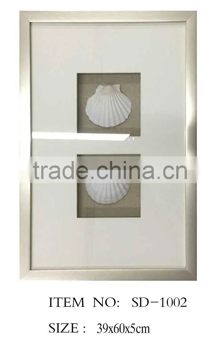 Shadow Box with White Seashell