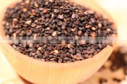 PREMIUM QUALITY INDIAN SESAME SEEDS